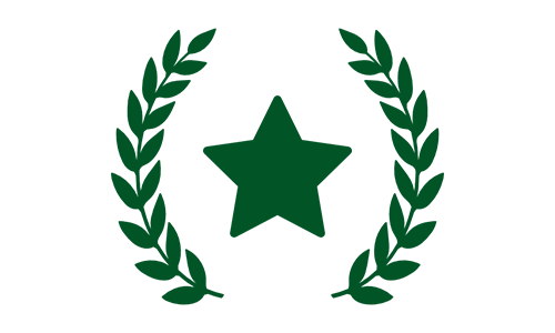 Skvělé hodnocení Google