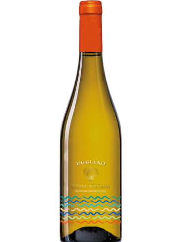 Uggiano Costa Toscana Cuveé 2025 IGT (id:682811)