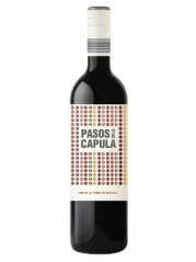 Abanico Pasos de la Capula Syrah 2022 (id:66614)