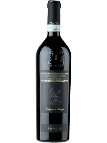 Tinazzi Valpolicella Ripasso 2019 (id:68462)