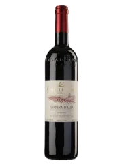 Costa di Bussia Barbera d'Alba DOP 2023 (id:68608)