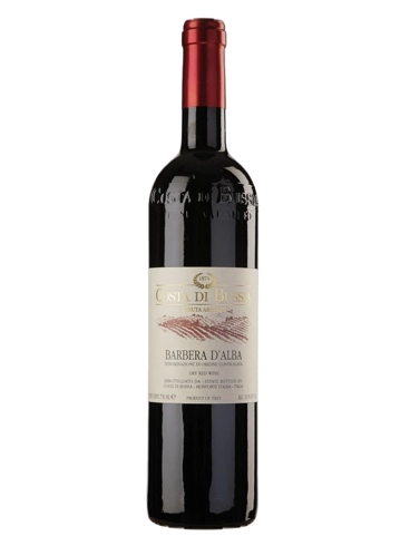 Costa di Bussia Barbera d'Alba DOP 2023 (id:68608)