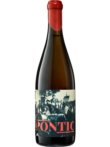 Taubenschuss Pontic 2021 (id:62491)