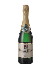 Chateau Mělník Sekt brut Pinot blanc 2018 (id:22233)