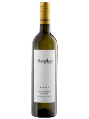 Čapka Veltlínské zelené Pozdní sběr 2021 (id:18497)