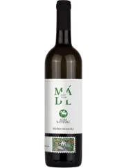 Mádl Svatomartinské Muškát Moravský  2025