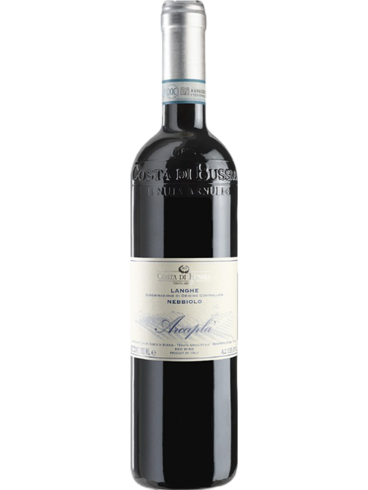 Costa di Bussia Langhe Nebbiolo 2021 (id:68632)