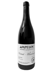 Ampelos Neronet Blauburger 2018