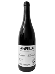 Ampelos Neronet Blauburger 2018