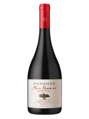 Morande Sauvignon Blanc Gran Reserva 2018 (id:72201)