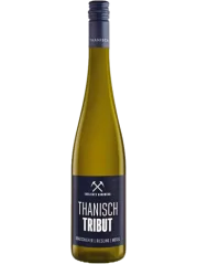 Thanisch Riesling Grauschiefer Tribut 2023