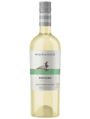 Morande Pionero Sauvignon Blanc 2019