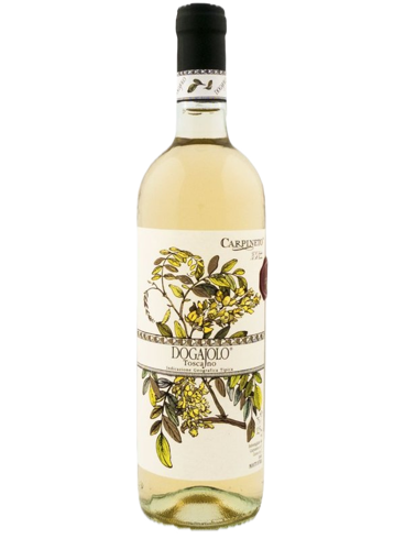 Carpineto Dogajolo Bianco 2022 IGT (id:68281)