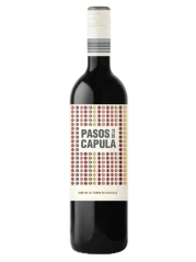 Abanico Pasos de la Capula Syrah BIO 2021