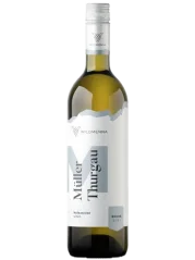 Wilomenna Müller Thurgau 2021 (id:24952)