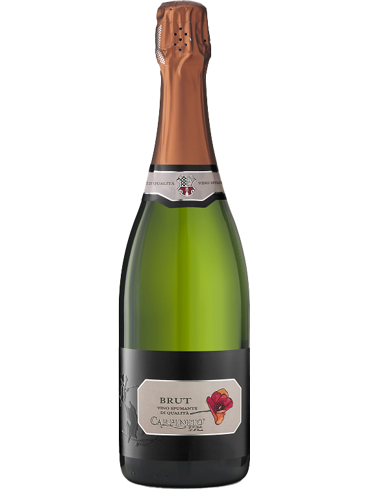 Carpineto Spumante Brut (id:68123)