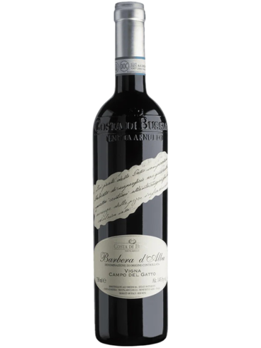 Costa di bussia Barbera d'alba campo del gatto 2023 (id:68640)