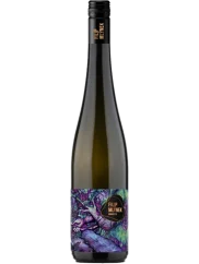 Mlýnek André výběr z hroznů 2022