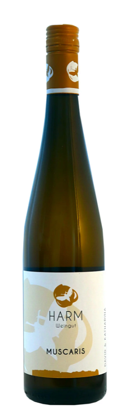 David Harm Muscaris 2023