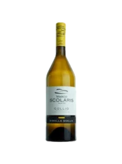 Marco Scolaris Ribolla Gialla Collio DOC 2023