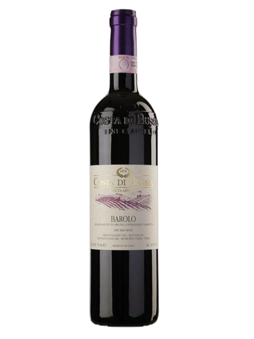 Costa di Bussia Barolo DOCG 2020 (id:68610)