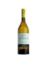 Marco Scolaris Pinot Grigio (Rulandské šedé) Collio DOC 2023 (id:68953)