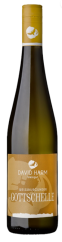 David Harm Weisburgunder Gottschellel 2022 (id:62240)