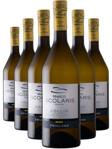 Set Marco Scolaris Friulano Collio DOC 2024 4+2 (id:68961)